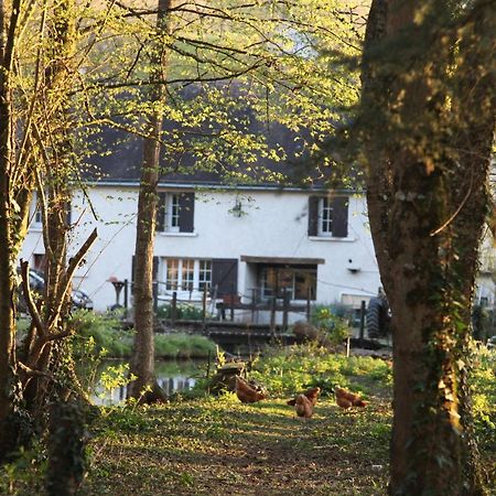 Fleurs De Brenne Gite Neuillé-le-Lierre المظهر الخارجي الصورة