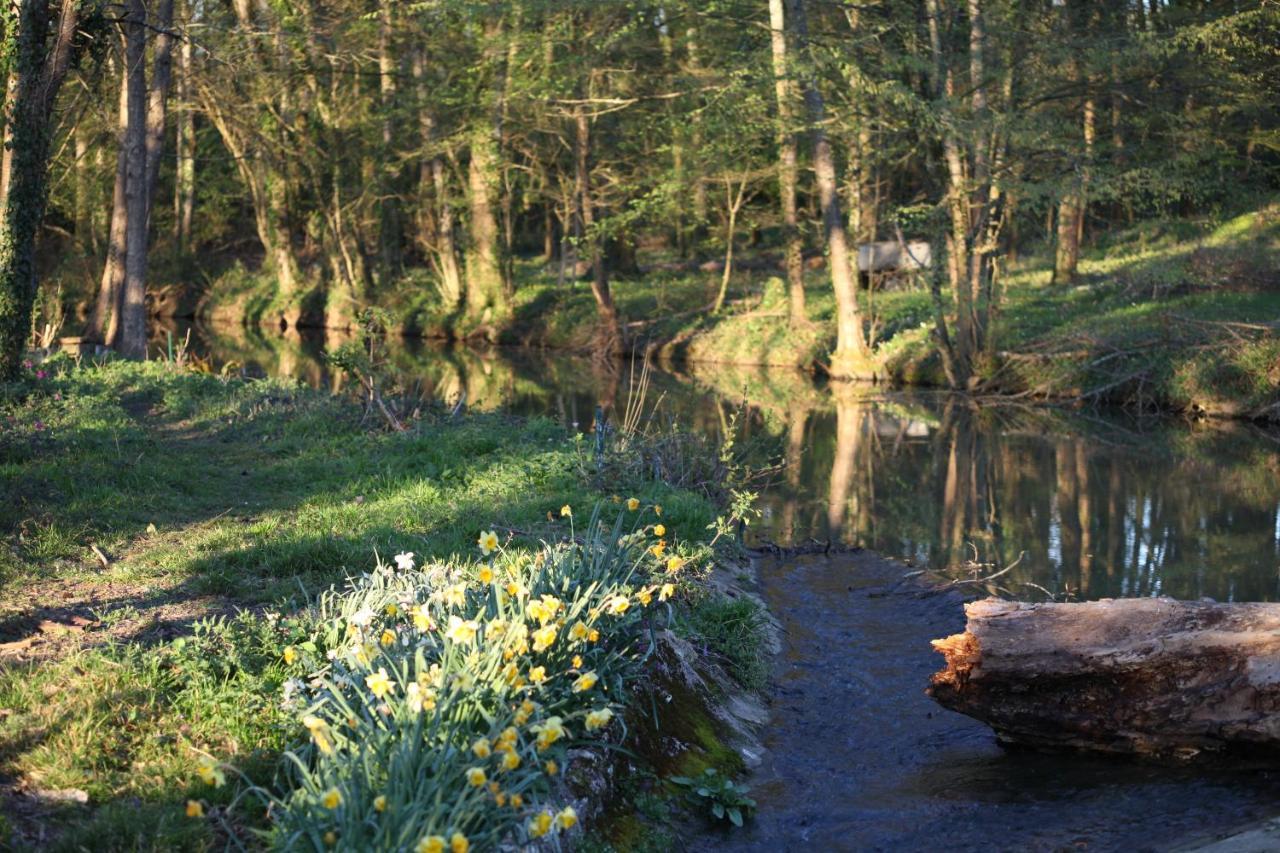 Fleurs De Brenne Gite Neuillé-le-Lierre المظهر الخارجي الصورة